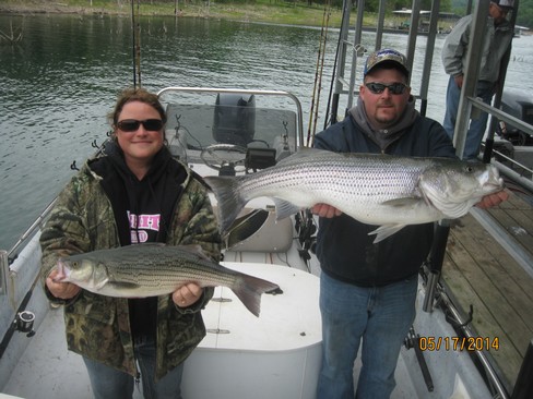 Nice Striped Bass